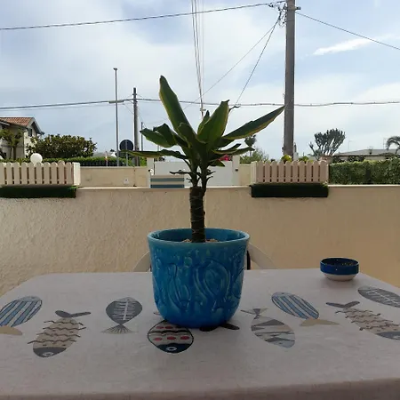 Villa Marty's - Vicino Al Mare